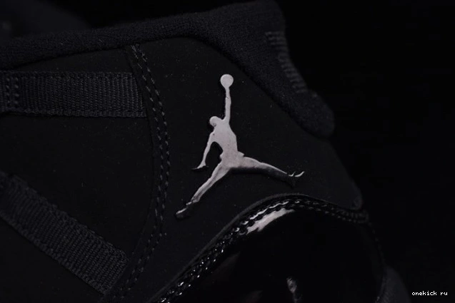 Chep Onekick Cap 378037-005 and Air 11 black Jordan Gown 0709